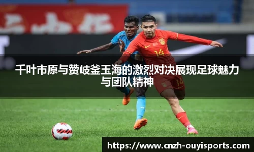 欧亿体育APP